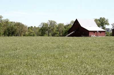 EXPECT PASTURE IMPROVEMENT WITH OVERSEEDING